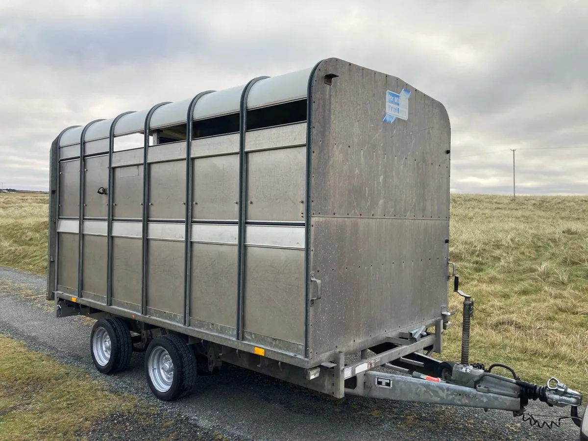 12 x6 6 ifor Williams cattle sheep trailer - Image 1