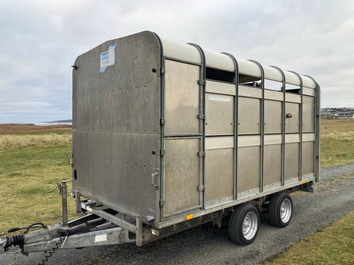 12 x6 6 ifor Williams cattle sheep trailer - Image 2