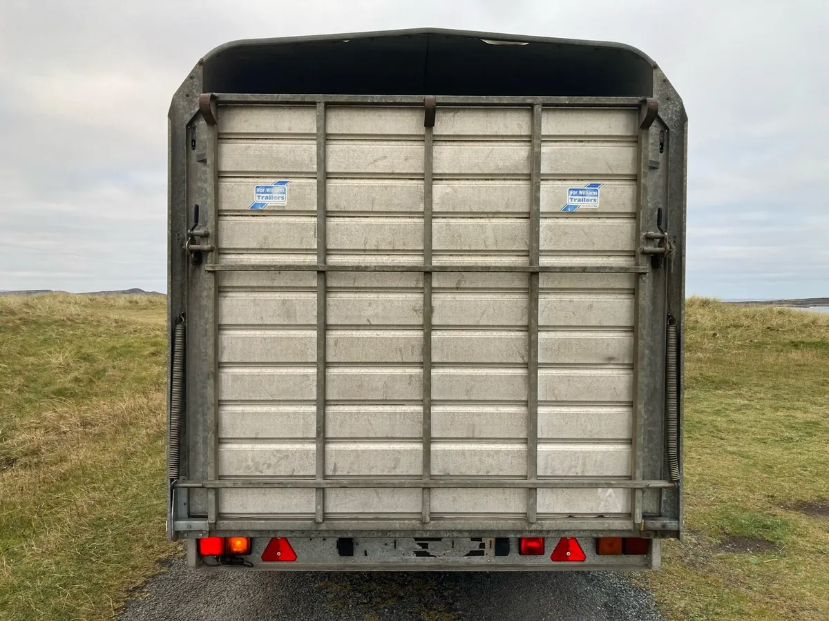 12 x6 6 ifor Williams cattle sheep trailer - Image 3