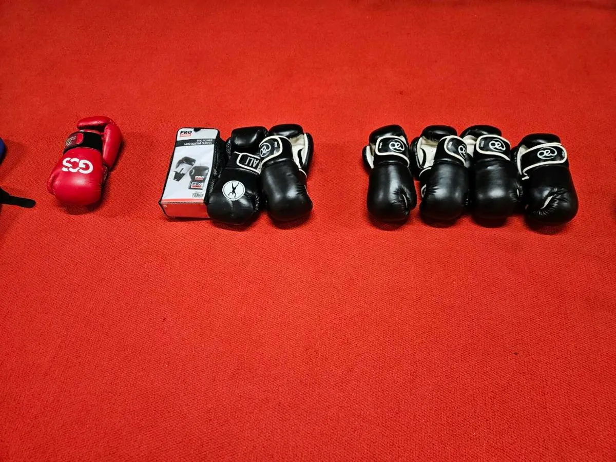 Boxing gloves, pads & brackets - Image 1