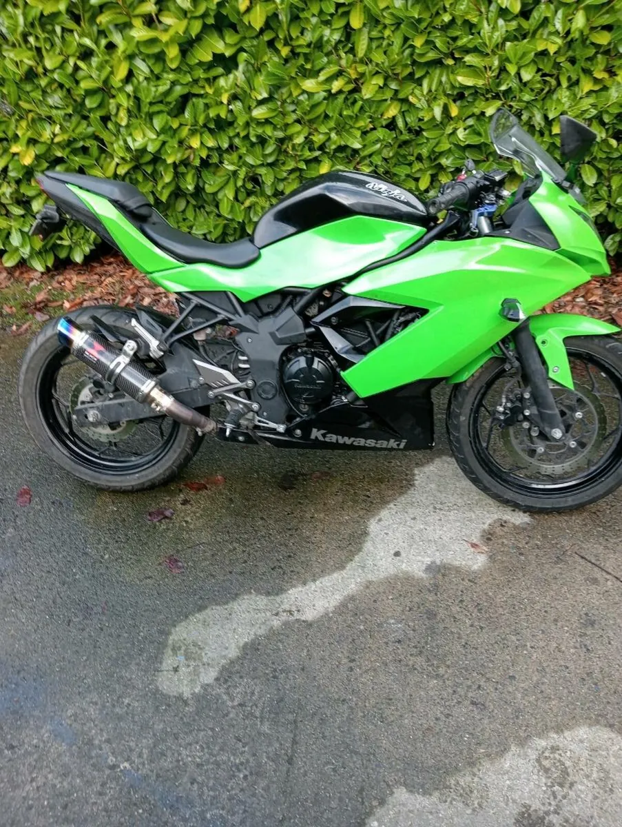 Ninja 250 - Image 1