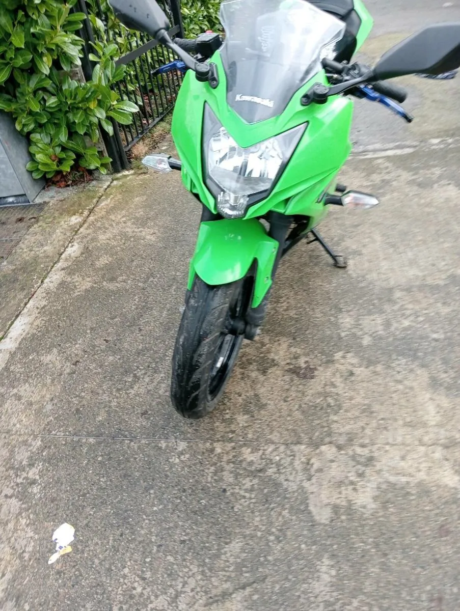 Ninja 250 - Image 4