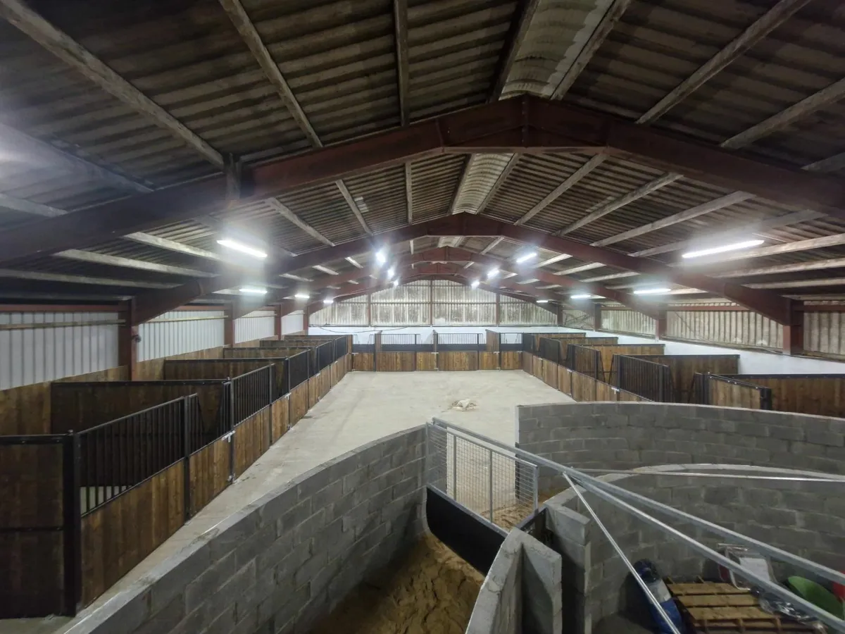 Stables and stable doors - Image 1