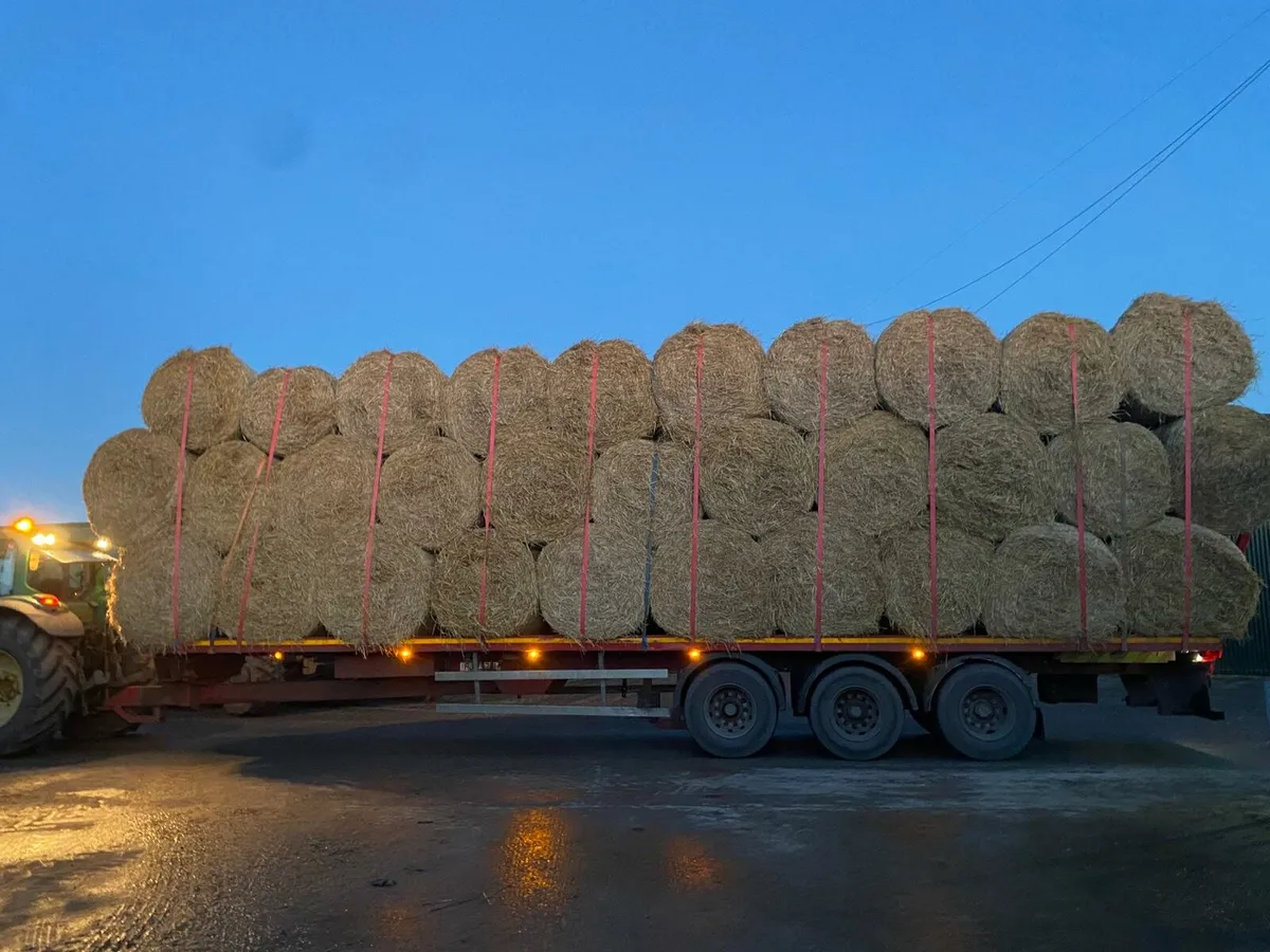 STRAW Barley + Wheat straw for sale - Image 3