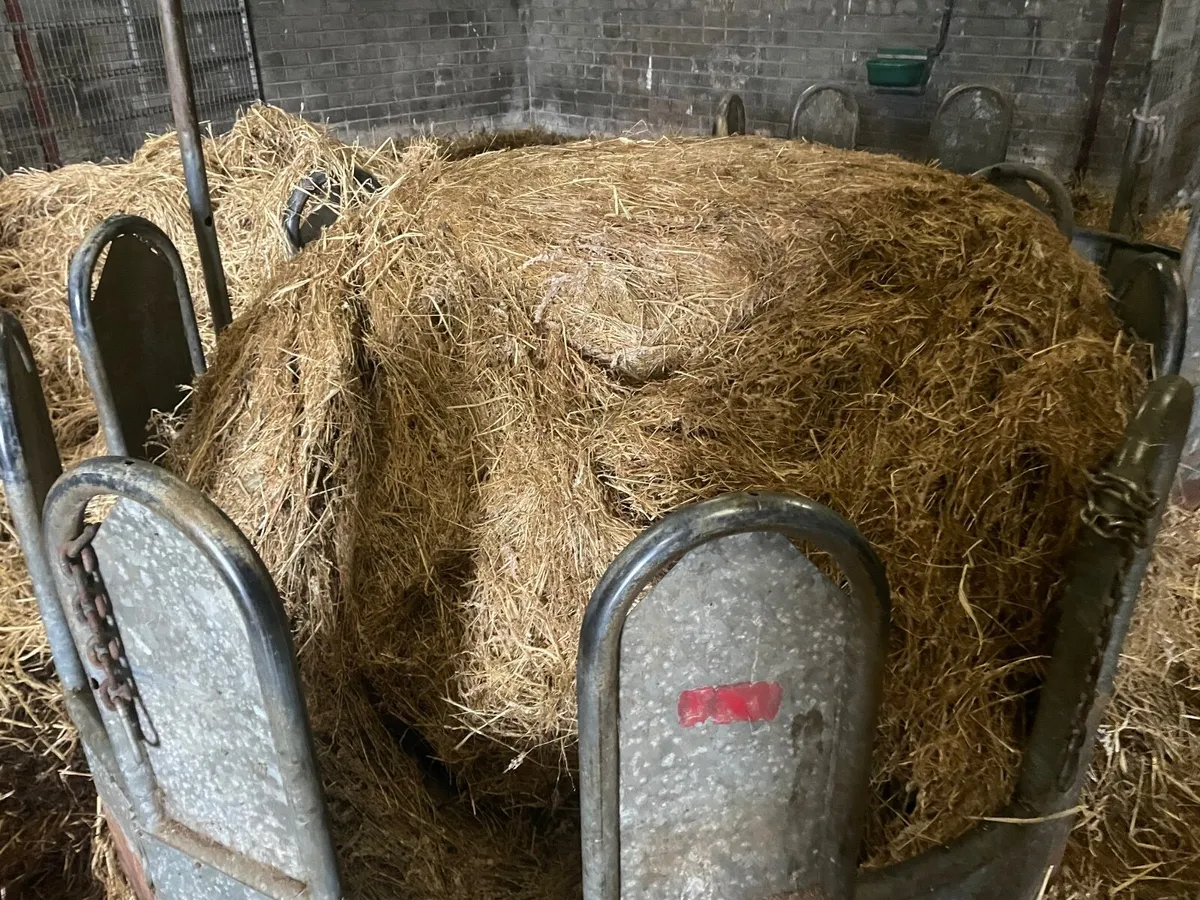 Top Quality Haylage & straw - Image 3