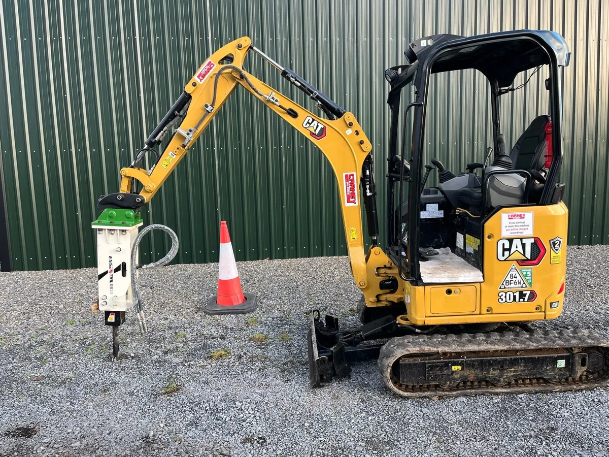 Caterpillar - Image 1