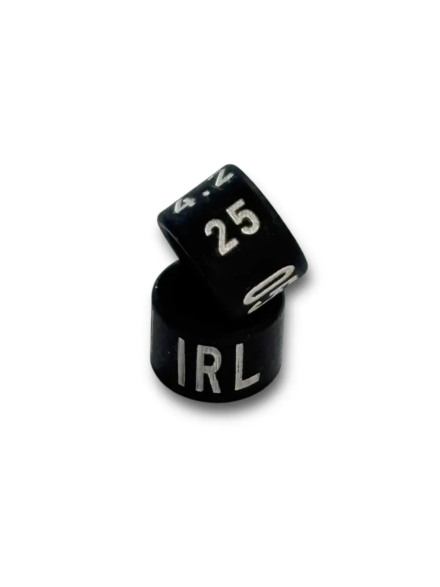 2025 IRL Bird Rings. Limited Stock. - Image 1