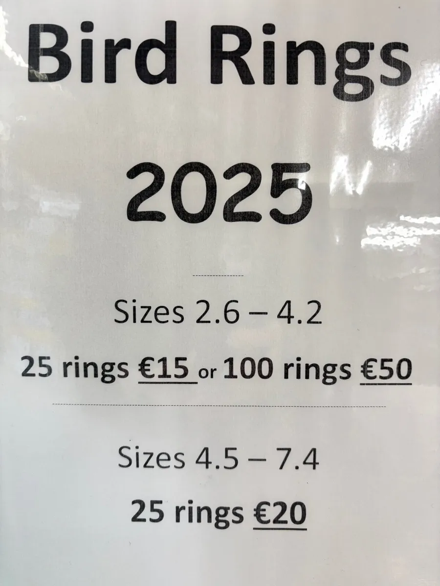 2025 IRL Bird Rings. Limited Stock. - Image 2