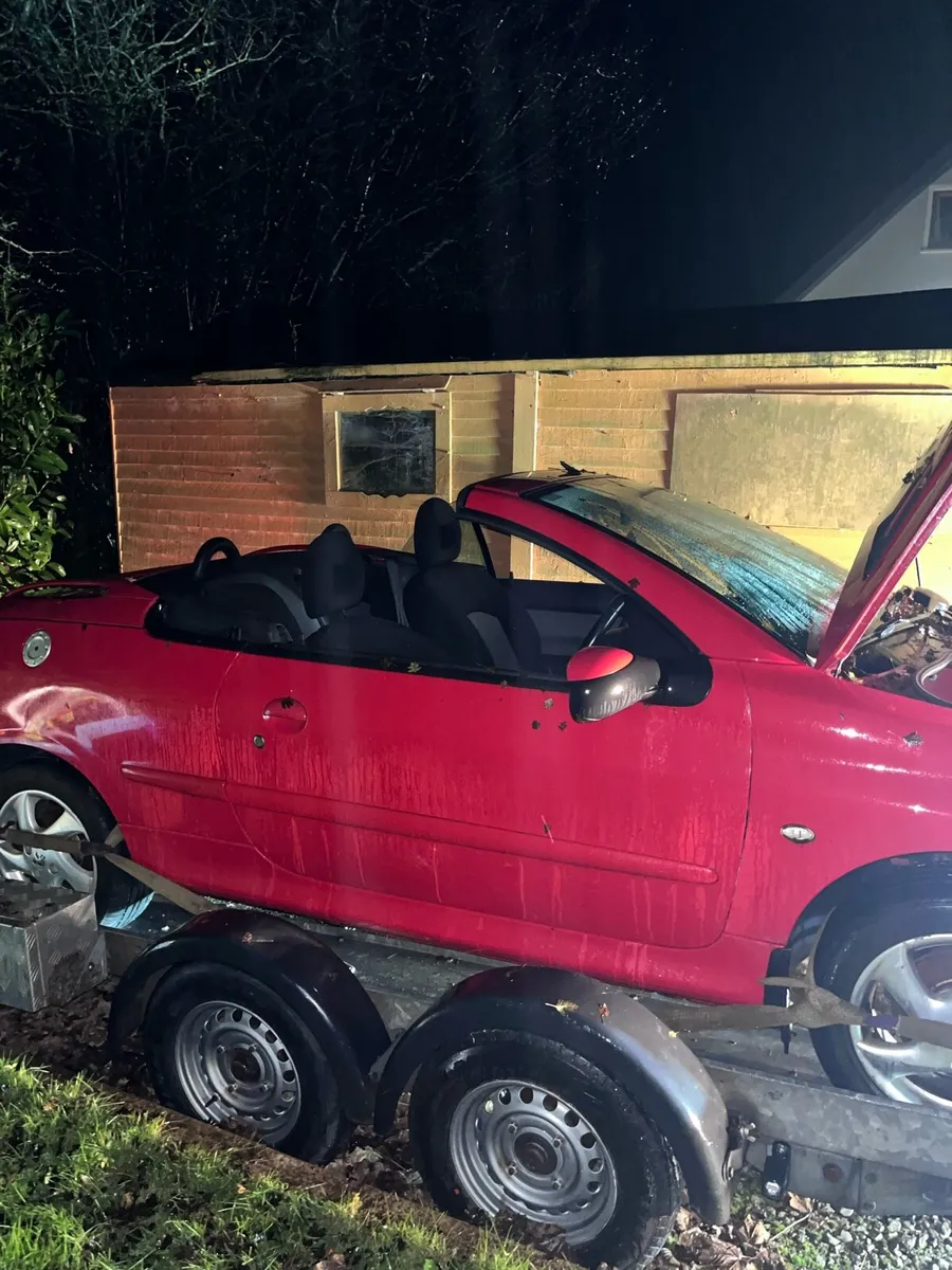 Peugeot 206cc breaking - Image 3
