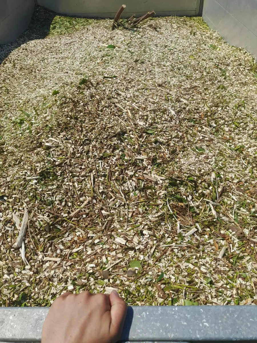 Woodchip for sale
