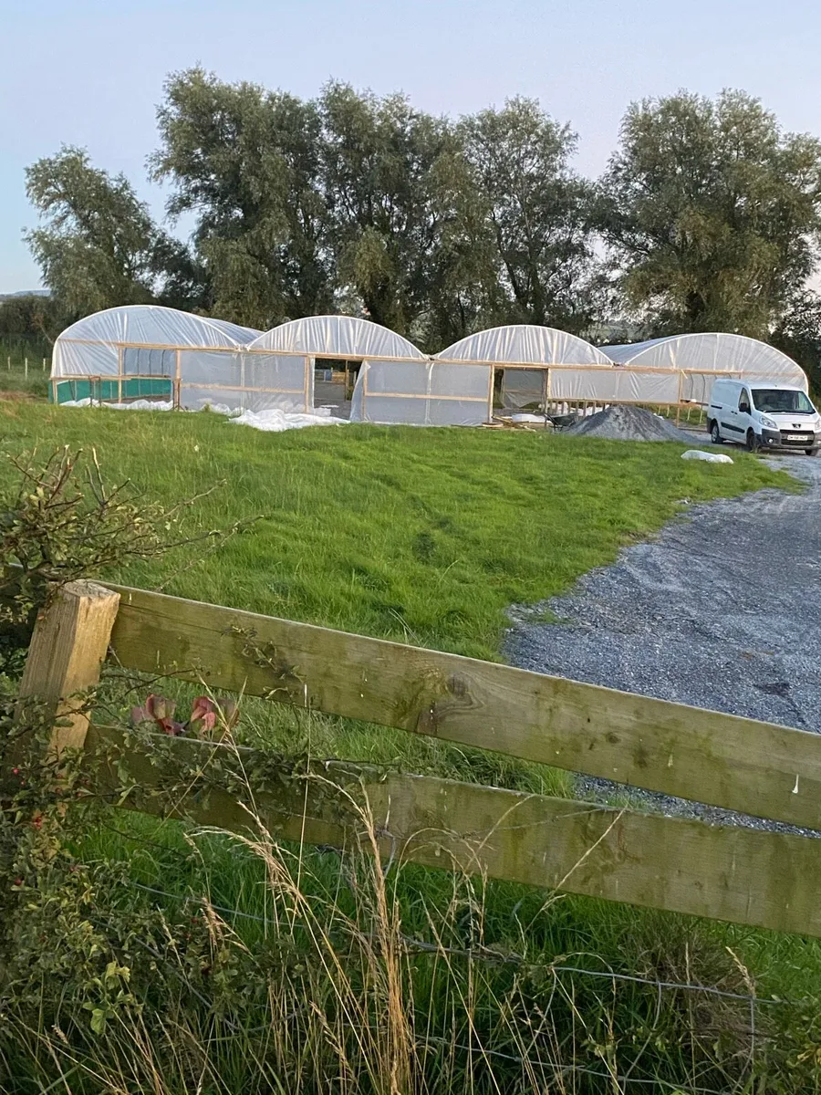 Multispan commercial Polytunnel - Image 1
