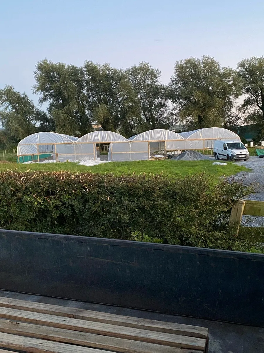 Multispan commercial Polytunnel - Image 2