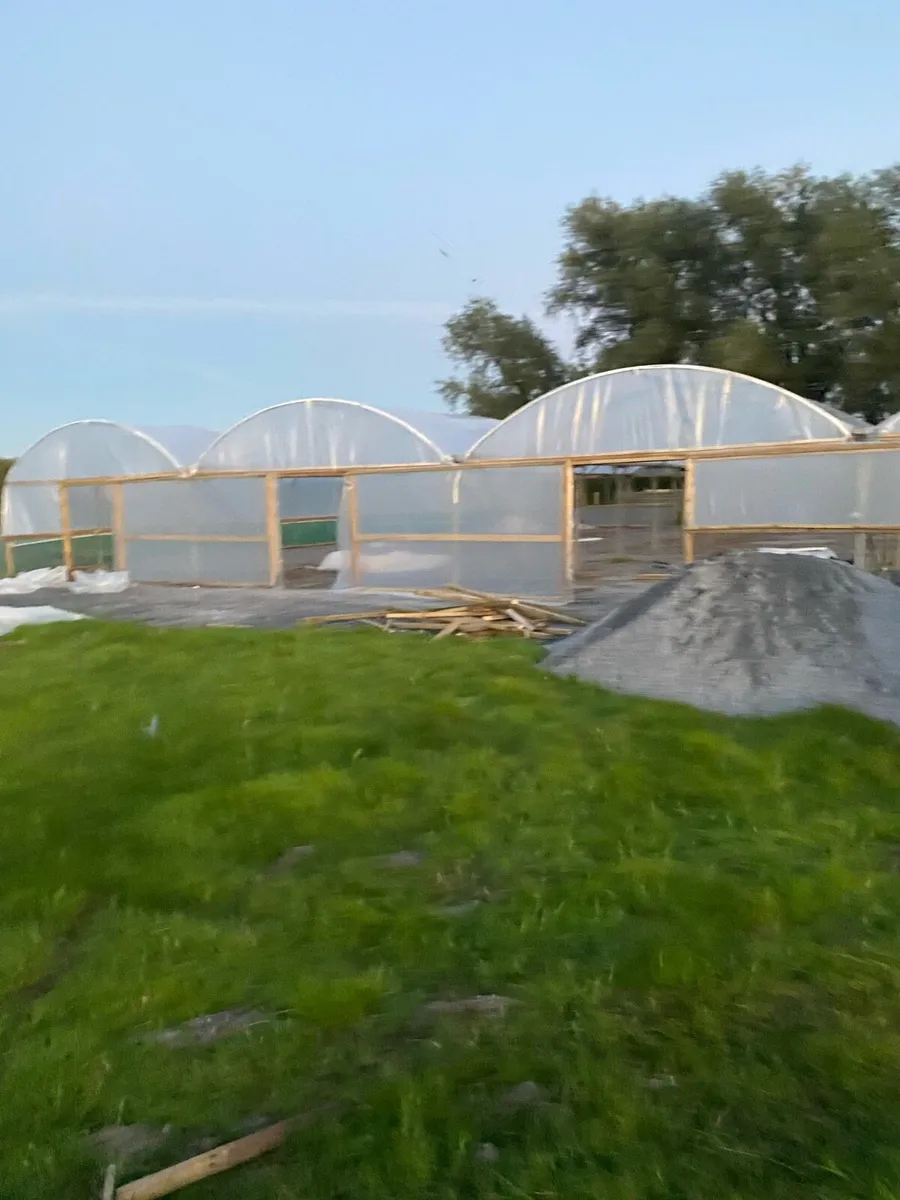 Multispan commercial Polytunnel - Image 3