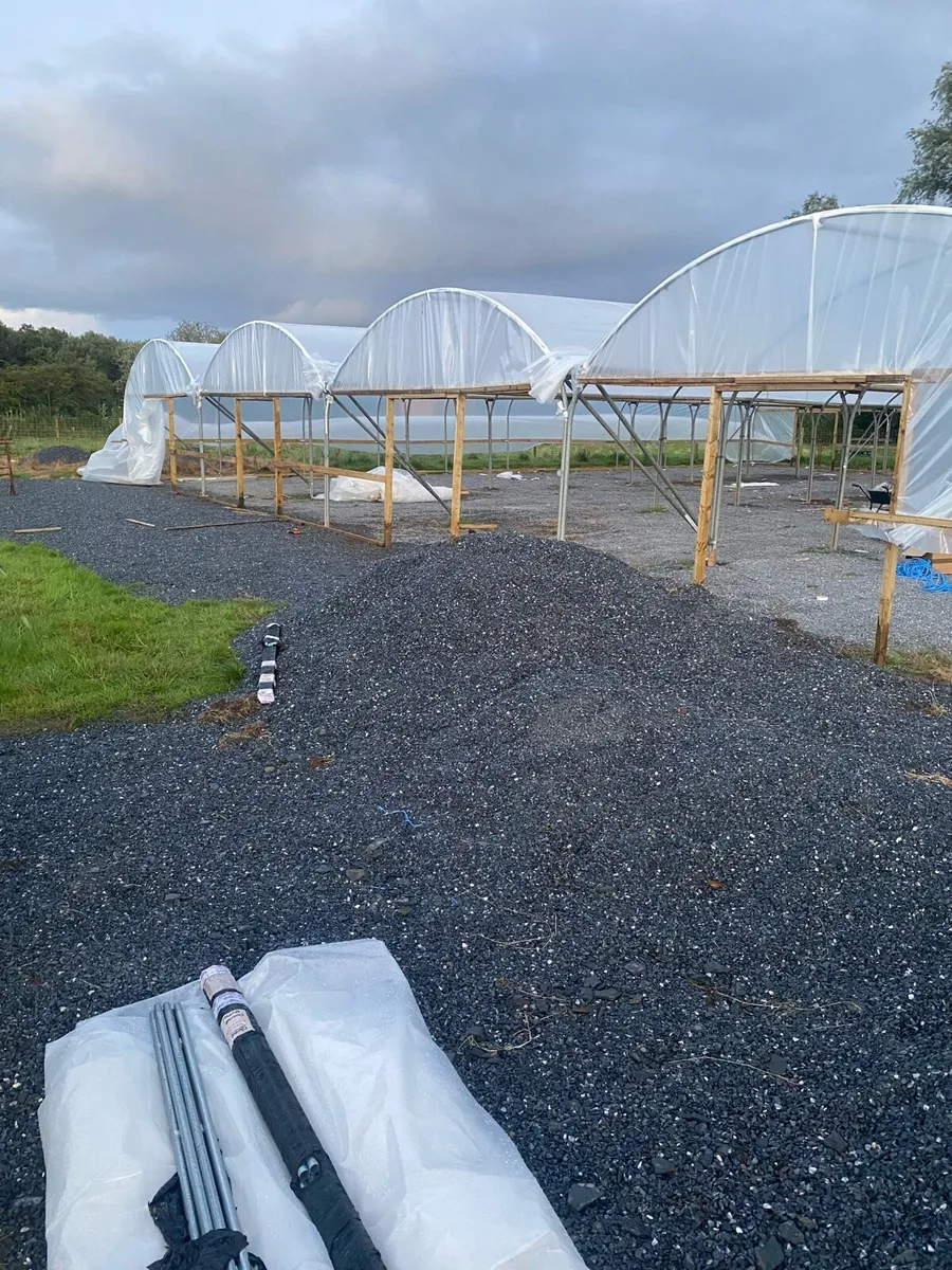 Multispan commercial Polytunnel - Image 4
