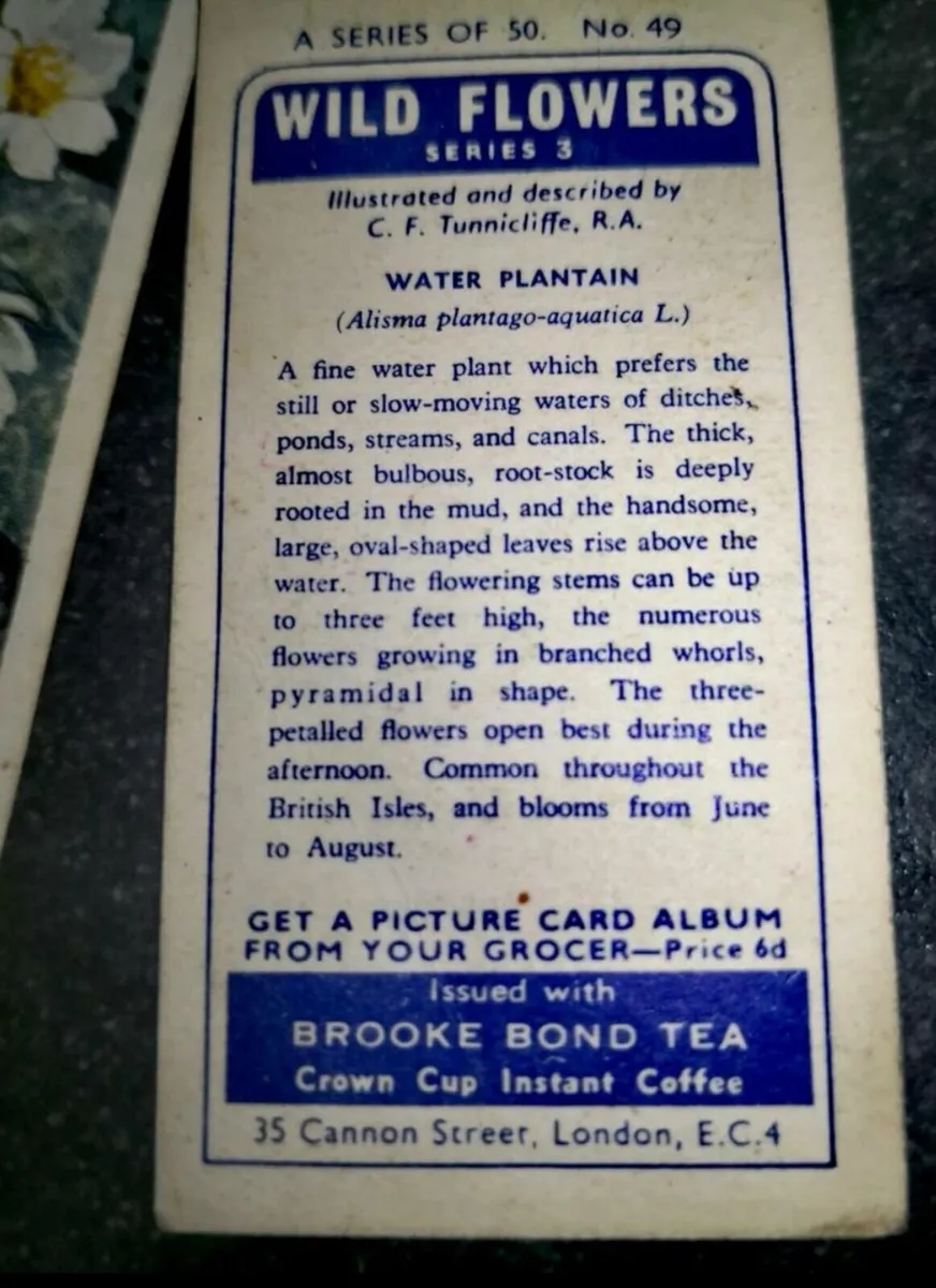 Brooke Bond teacards - Image 2