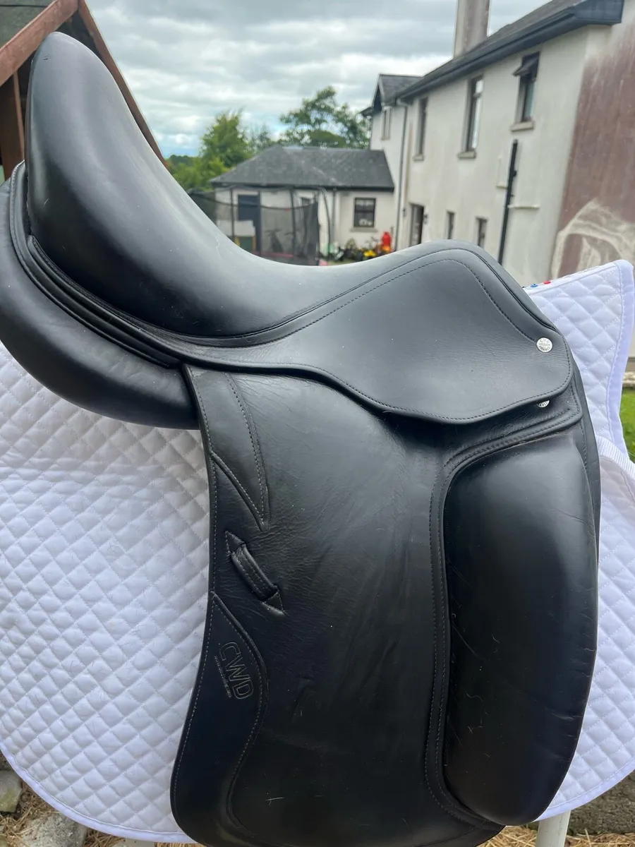 CWD dressage saddle - Image 2