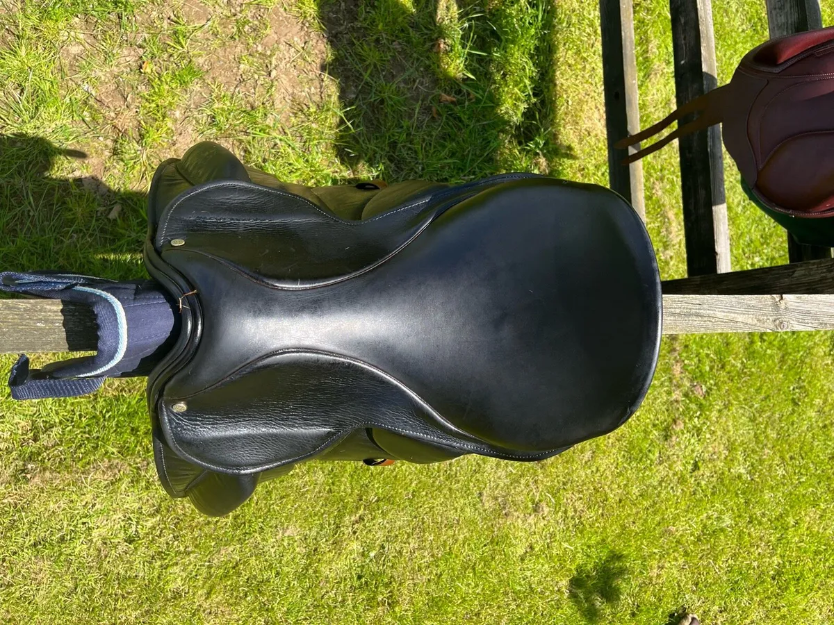 Berney Bros Dressage saddle - Image 3