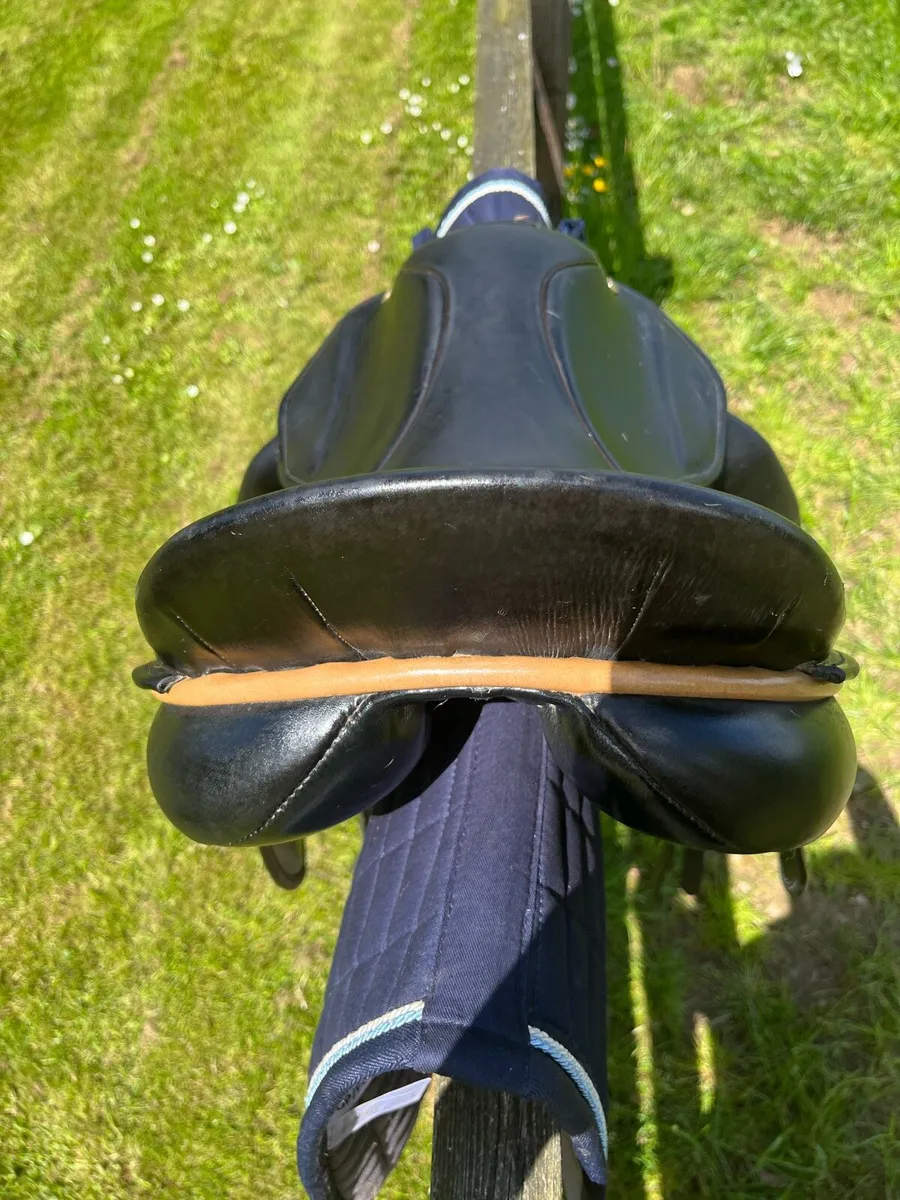 Berney Bros Dressage saddle - Image 4