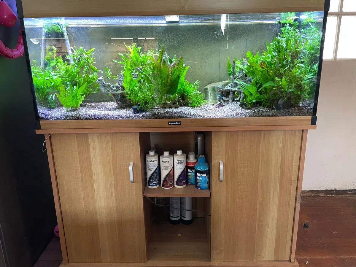Large 240L Fish Tank incl. stand, filter & light - Image 1