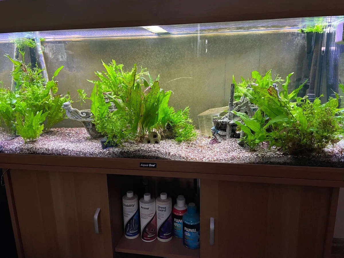 Large 240L Fish Tank incl. stand, filter & light - Image 2