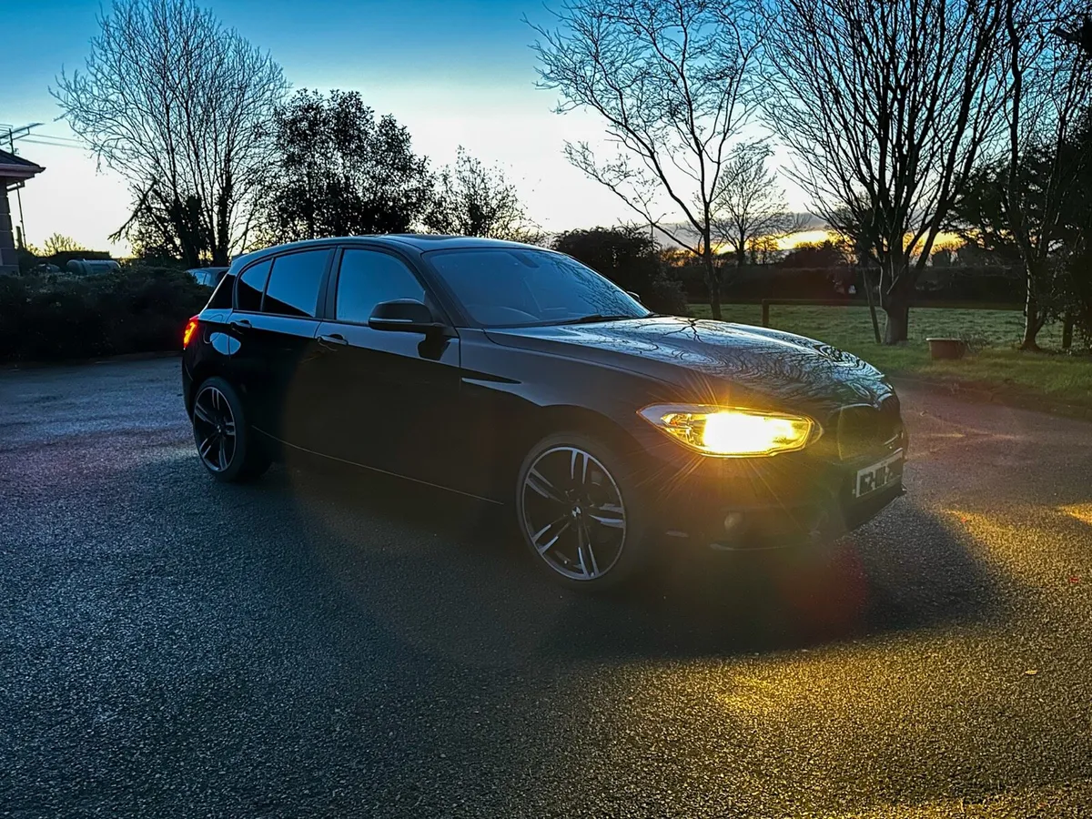 162 BMW 1 Series 116d EfficientDynamics Plus 5DR - Image 2