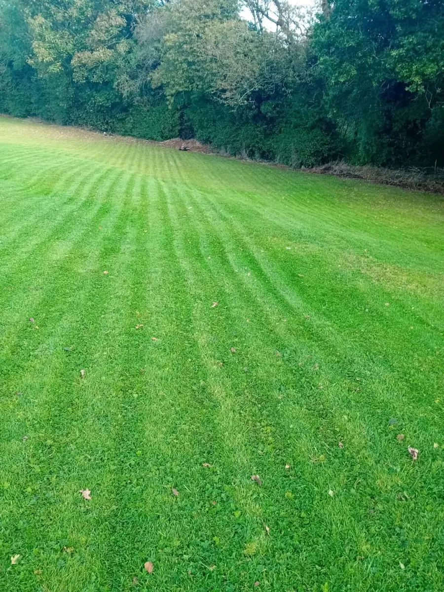 Kress robot mowers - Image 3