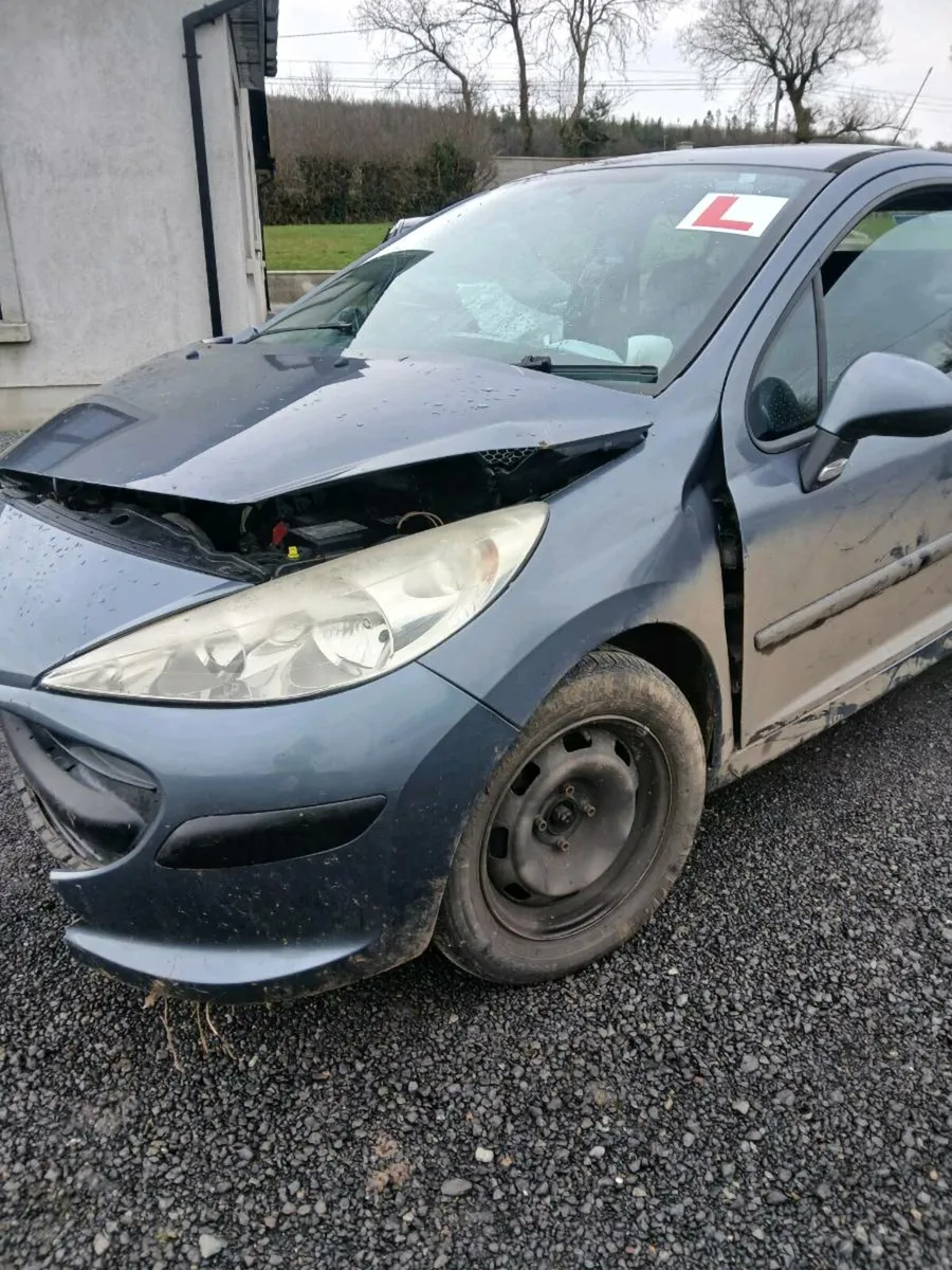 Peugeot 207 1.4 petrol - Image 2