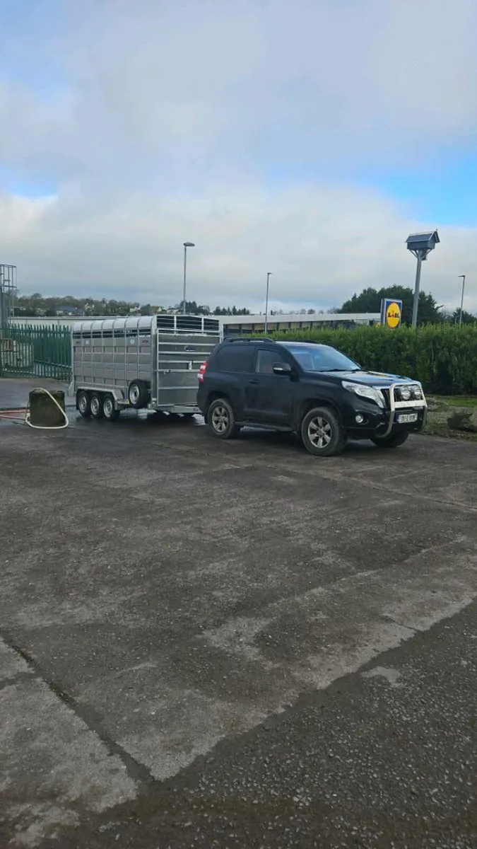 Livestock transport - Image 4
