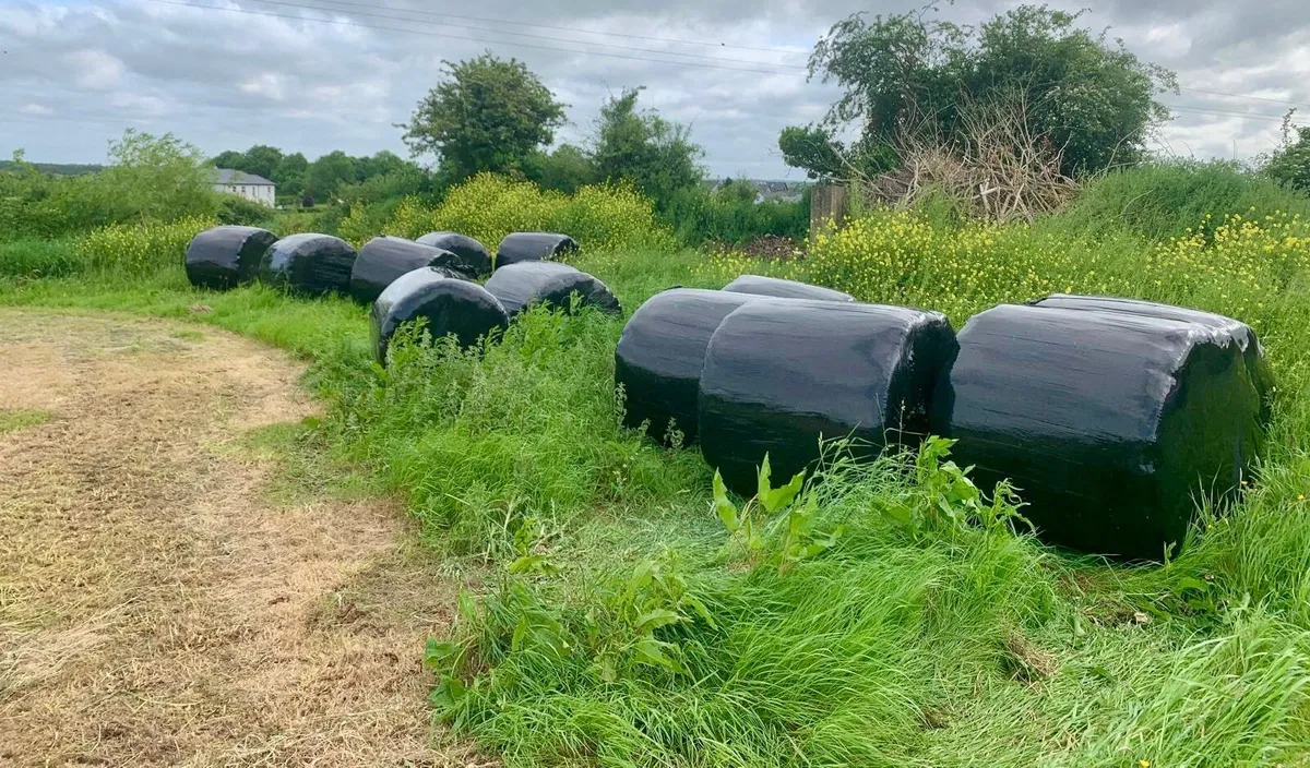 Silage x 12 bales - Image 2