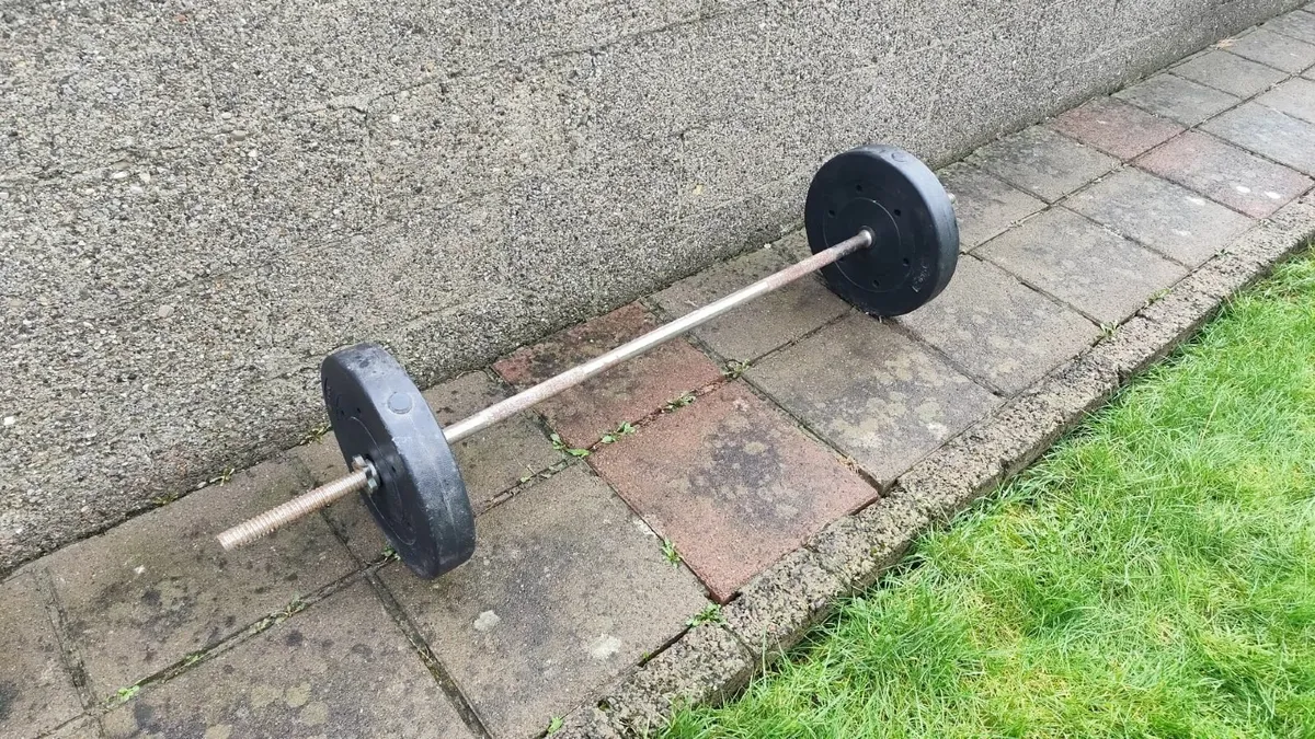 weights - Image 2