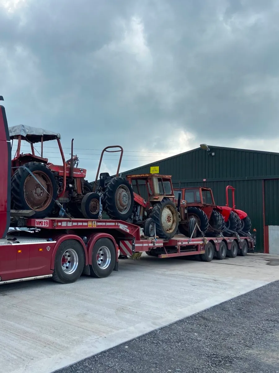 Massey ferguson tractors wanted - Image 1