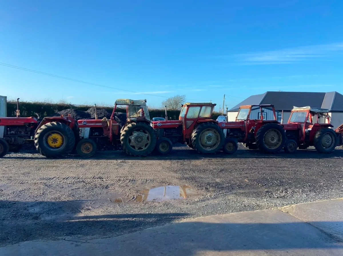 Massey ferguson tractors wanted - Image 2