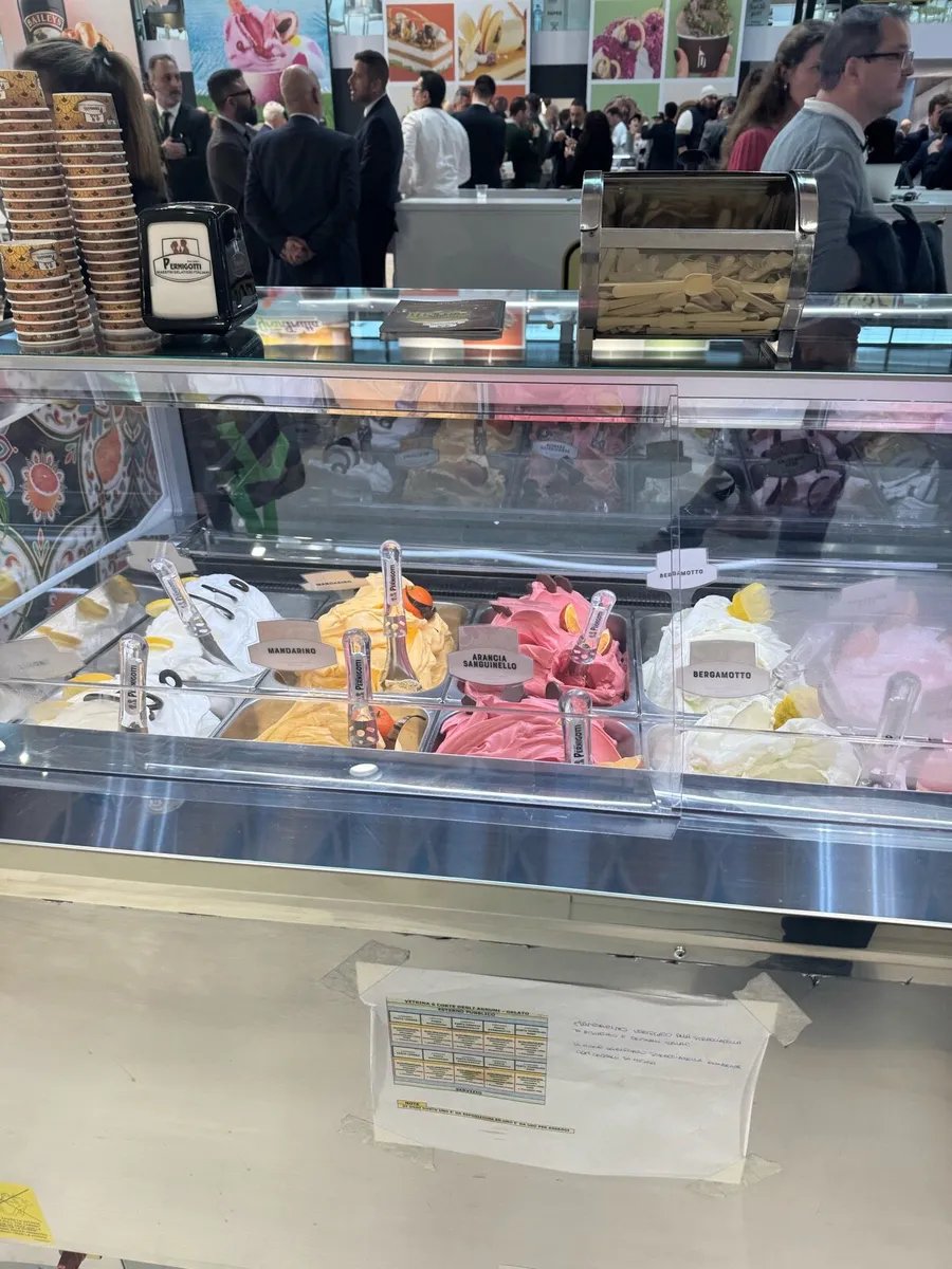 Deeva Professional Gelato Showcase - Image 4