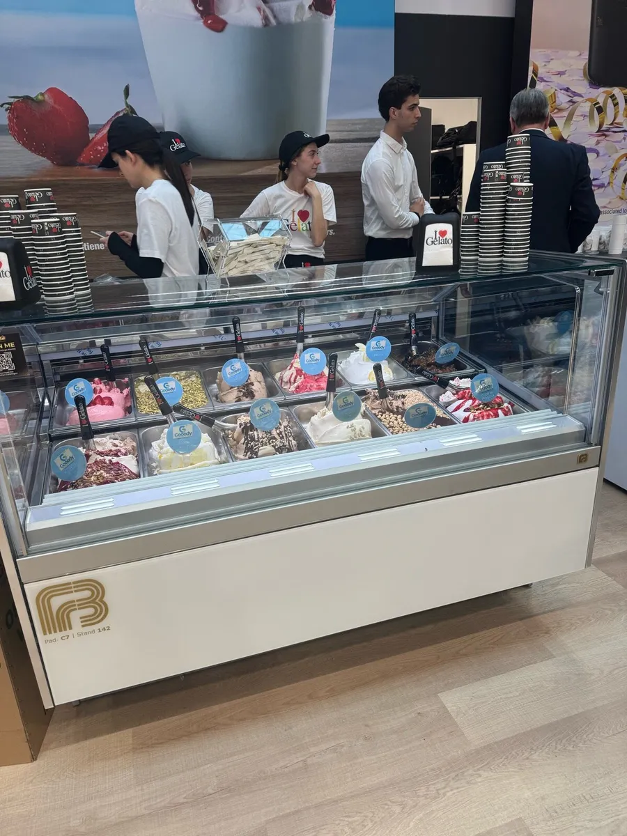 Deeva Professional Gelato Showcase - Image 1