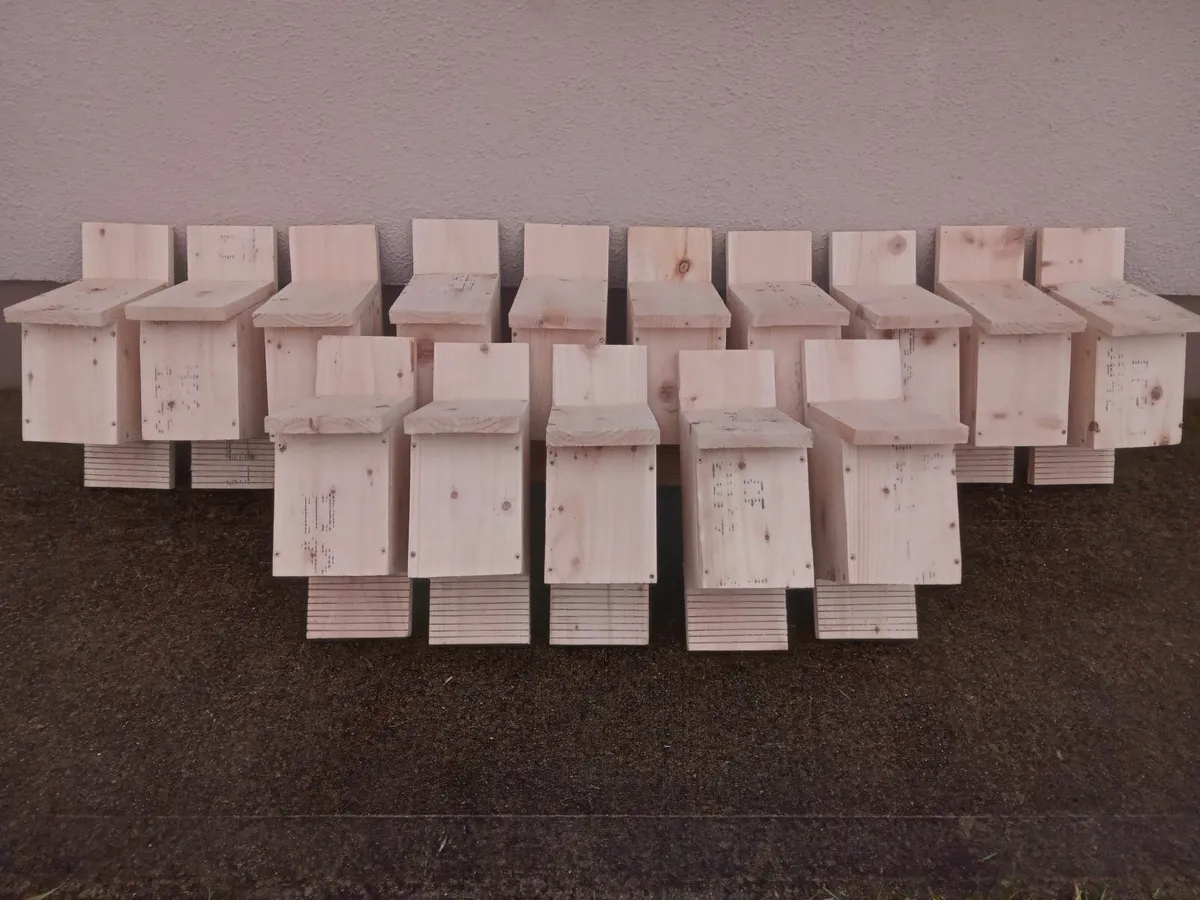 ACRES NPIS Bird Boxes - 💥Nationwide Delivery💥 - Image 4