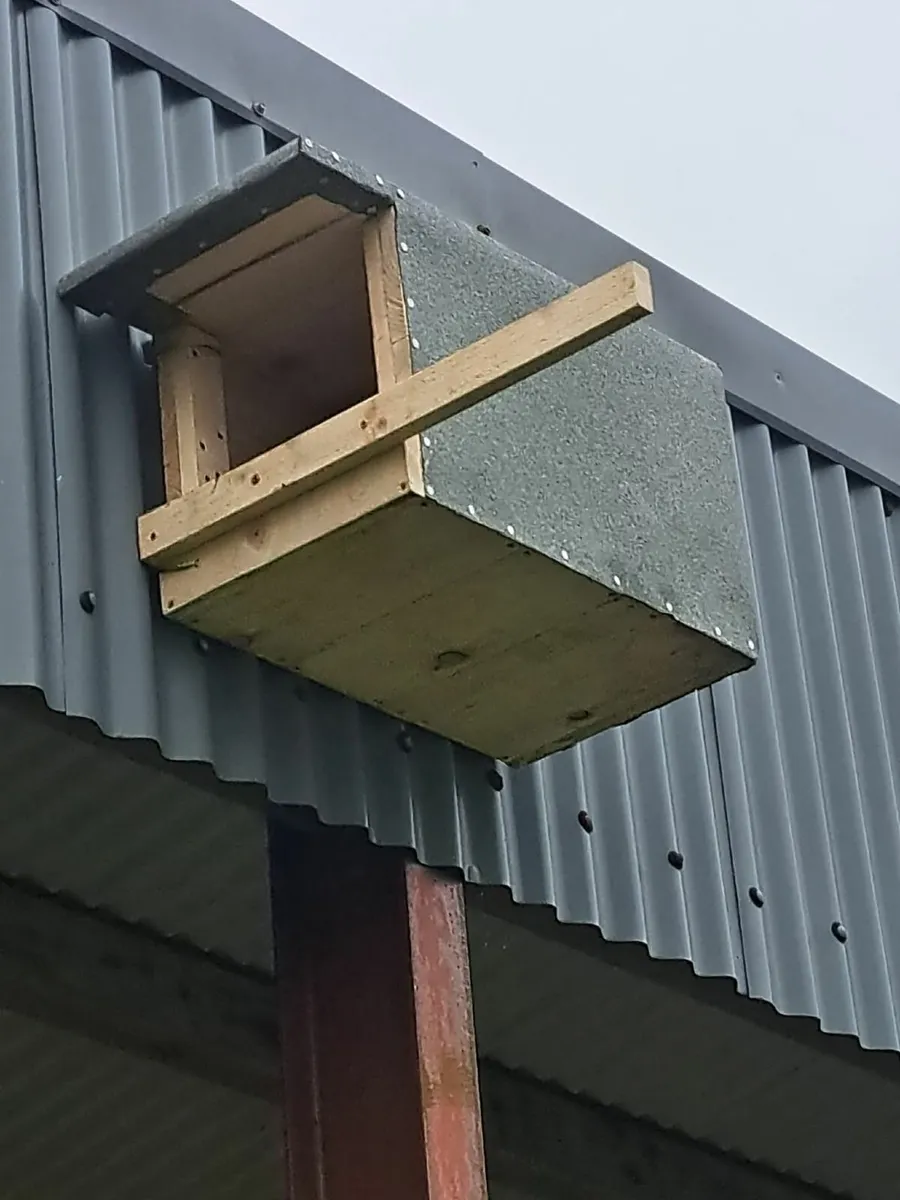 ACRES NPIS Bird Boxes - 💥Nationwide Delivery💥 - Image 1