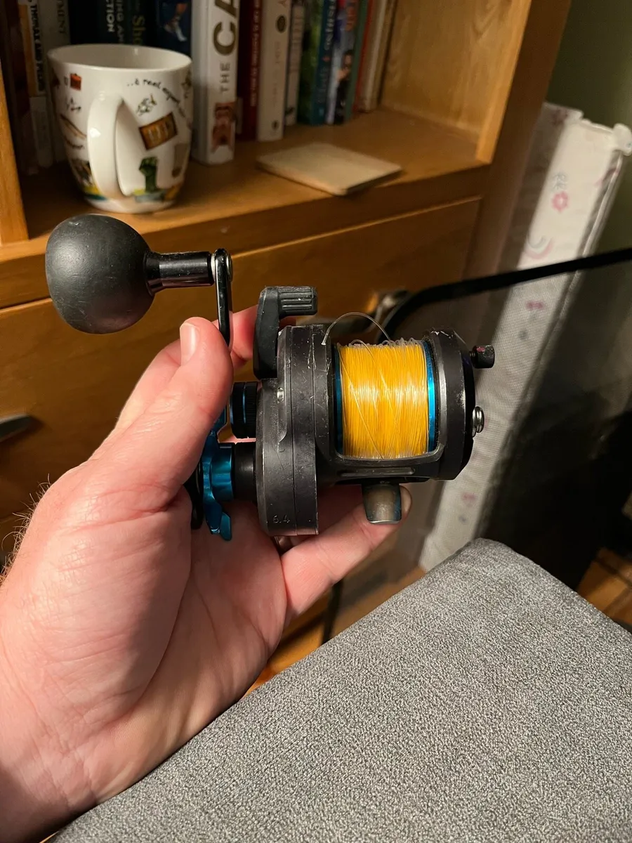 Daiwa magged salthist 20h fishing reel - Image 1