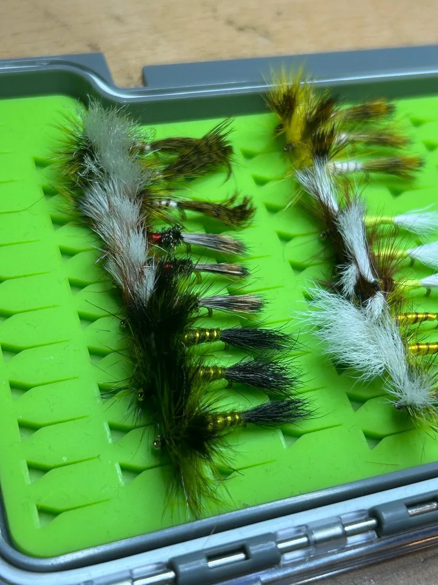 X36 Dry Mayfly Selection - Image 4