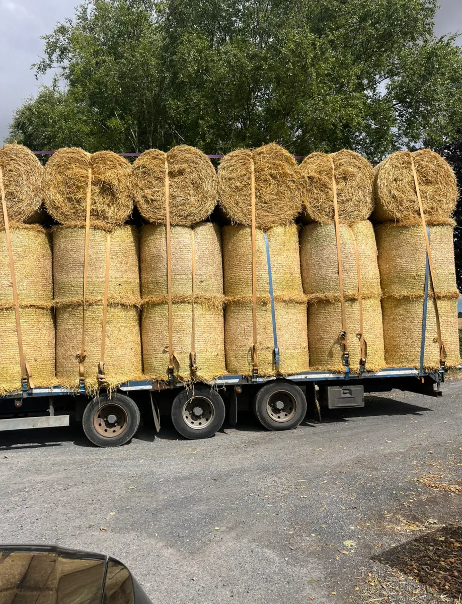4x4 winter barley straw - Image 1