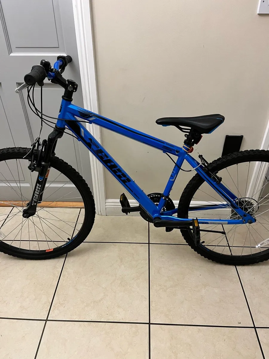 Teen bicycle - Image 1