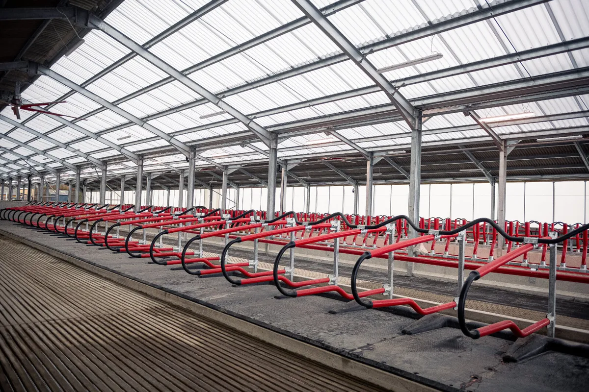 Cow Cubicles - EASYFIX - Image 1