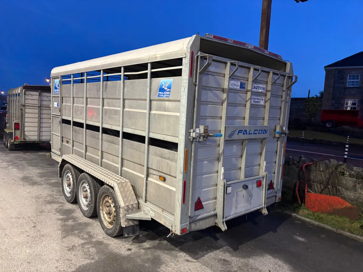 falcon 14ft livestock trailer - Image 2