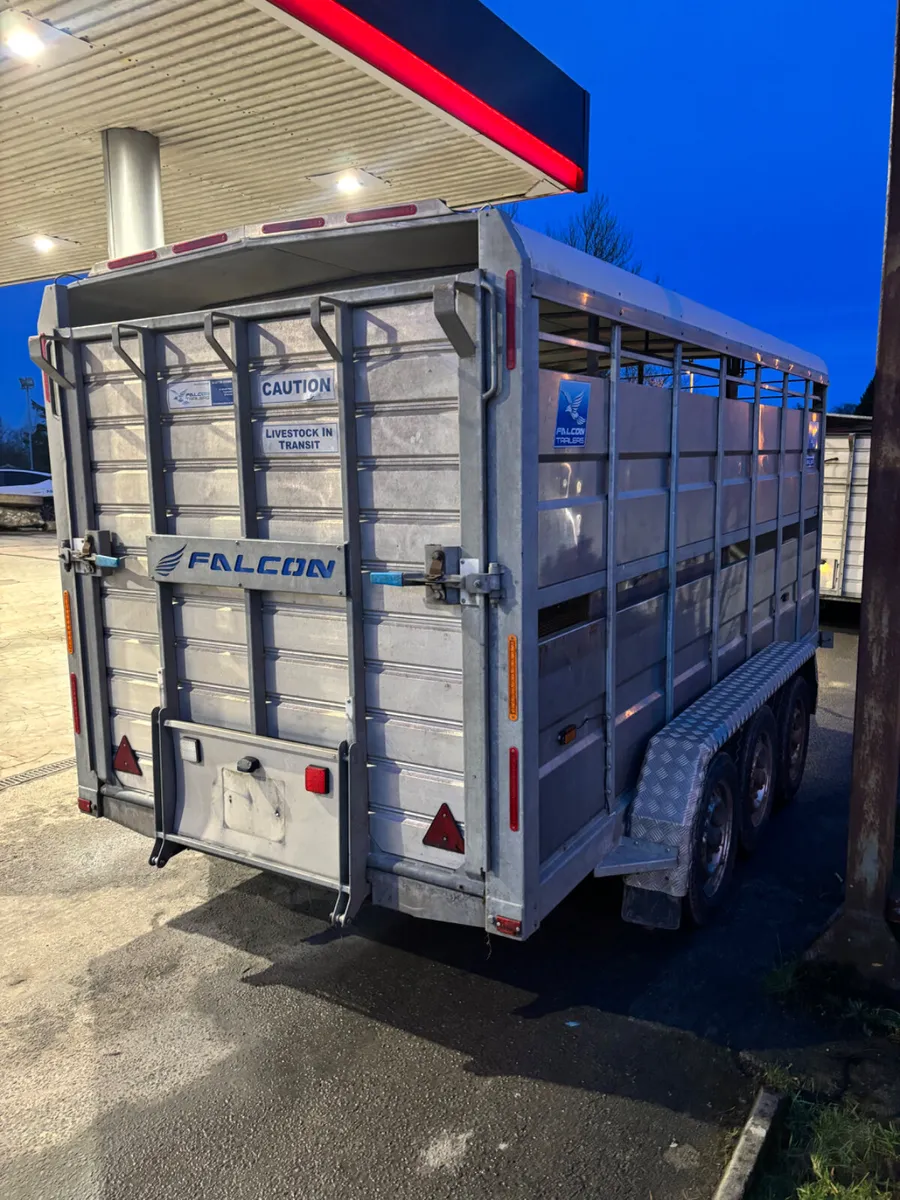 falcon 14ft livestock trailer - Image 3