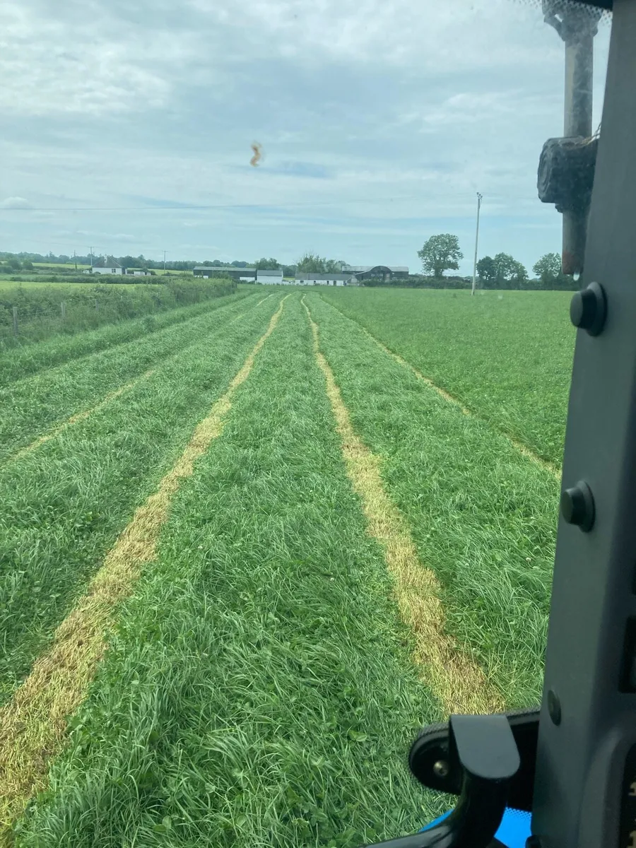 Round bales of Silage - Image 1