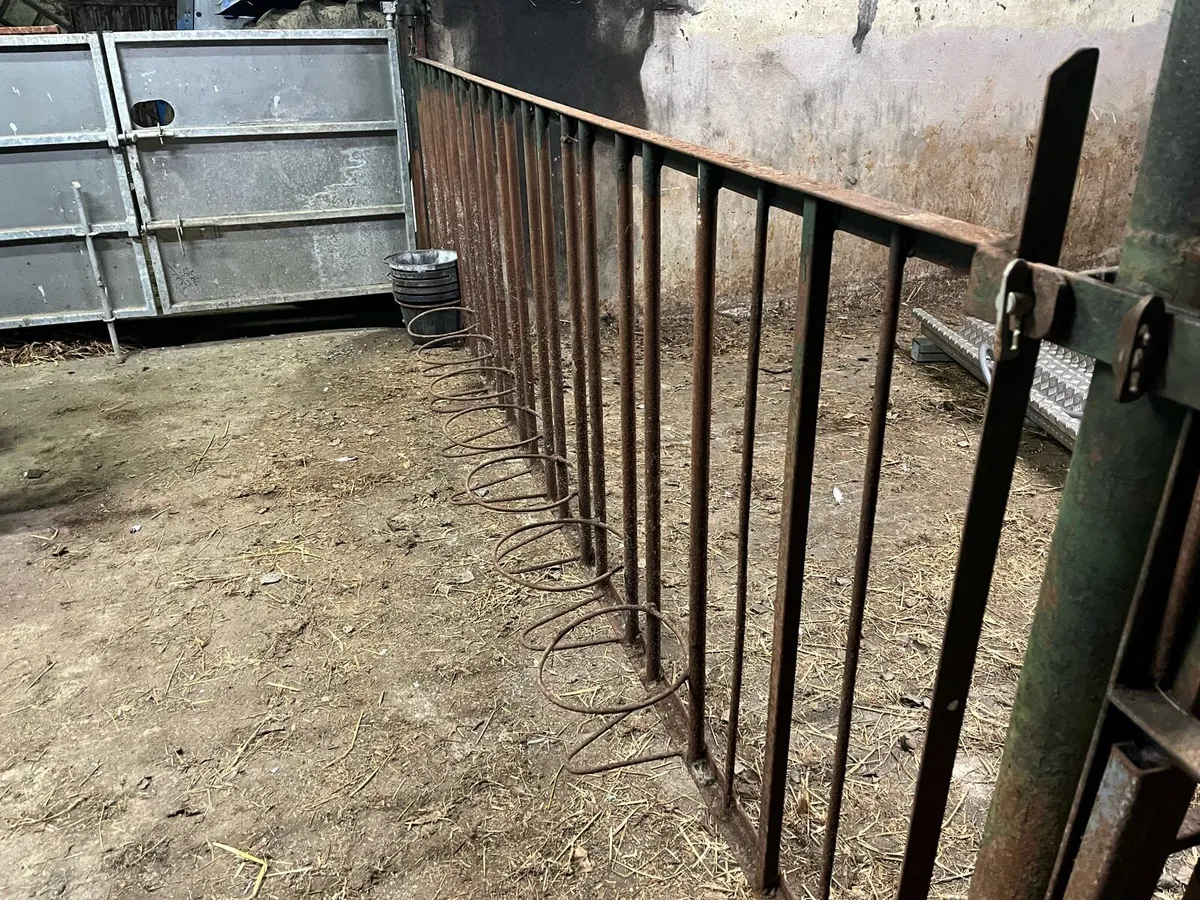 Calf feeding gates - Image 1