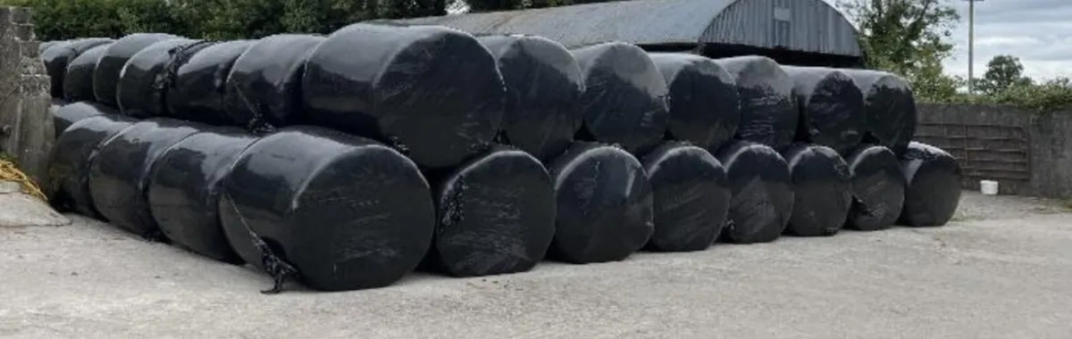 1st & 2nd Cut Silage Bales