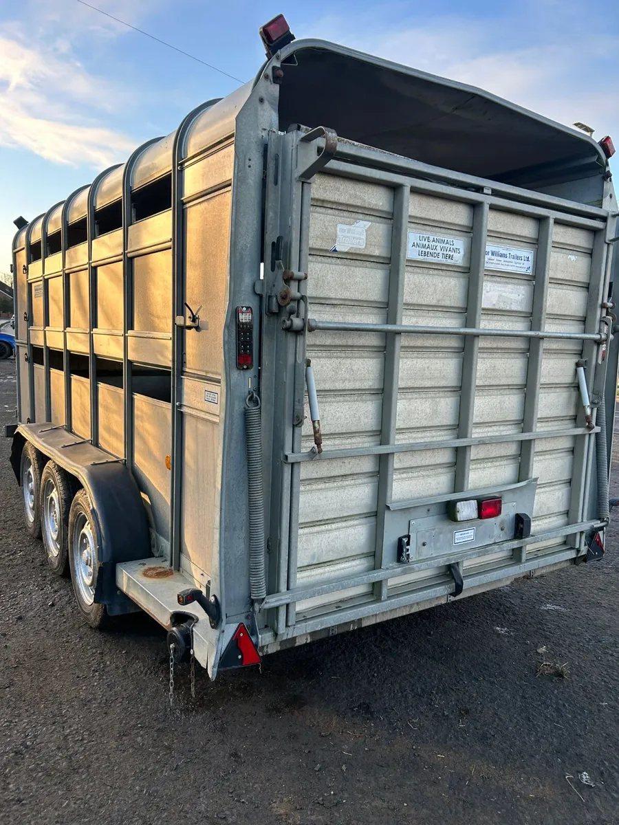 Ifor Williams 14ft cattle trailer - Image 2