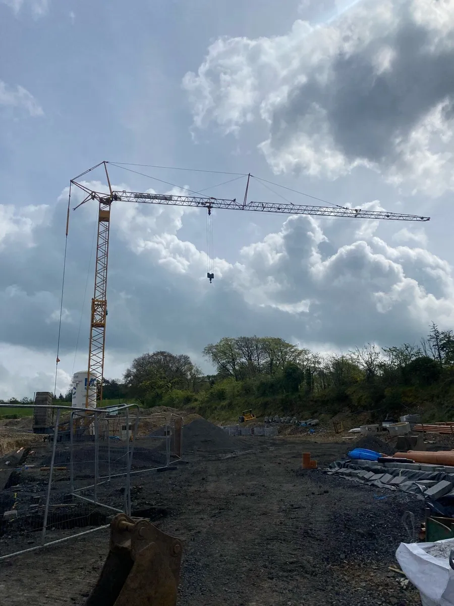 Crane - Image 1
