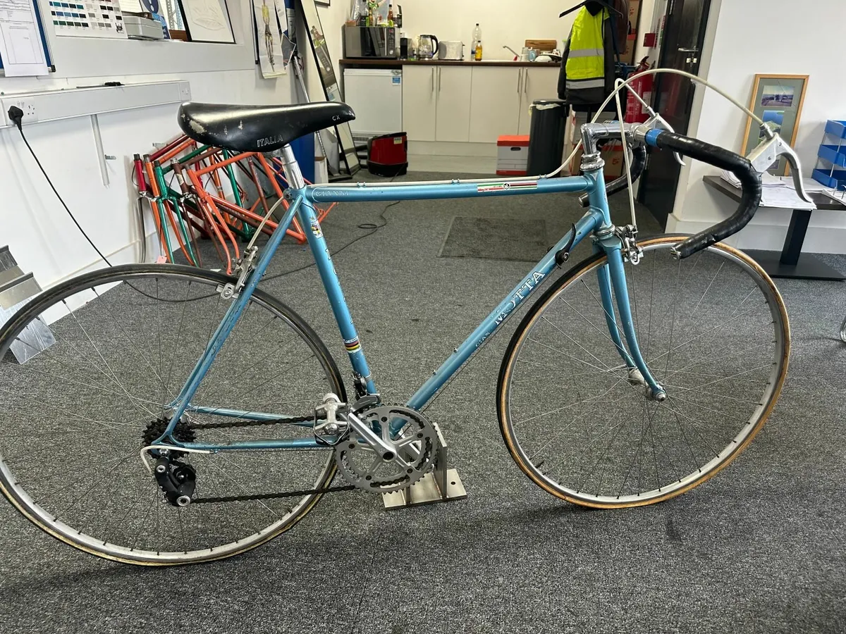 adult cycle - Image 2