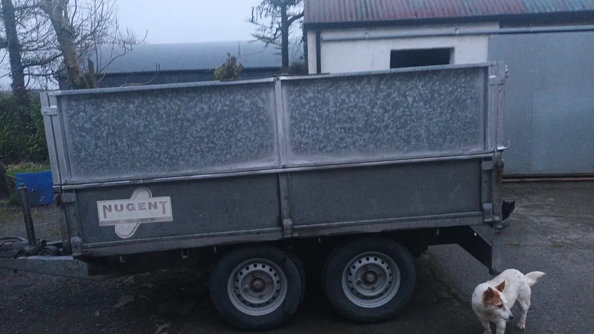 Trailer - Image 4